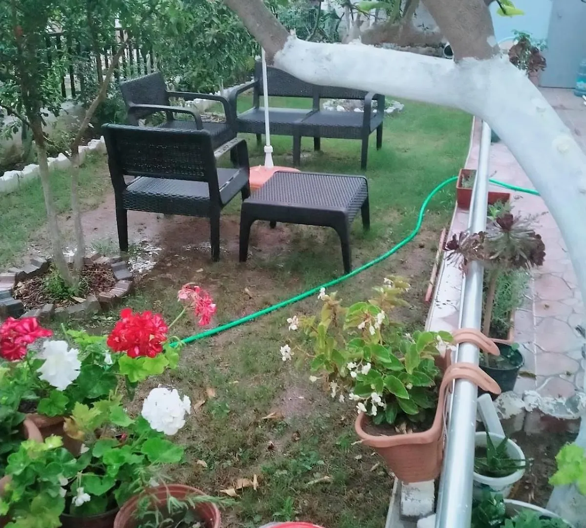 Apartment Tatil Evi Kusadasi Turkey