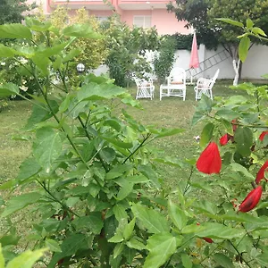 Ayda Kuşadası